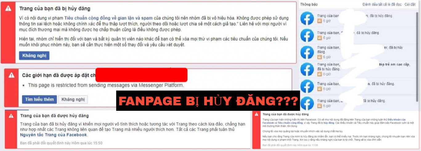 Fanpage bị huỷ đăng có lấy lại được không ? Cách khôi phục Fanpage bị huỷ đăng